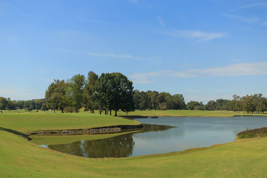 Golf-landscape