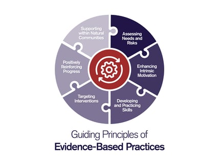 Guiding Principles of EBP